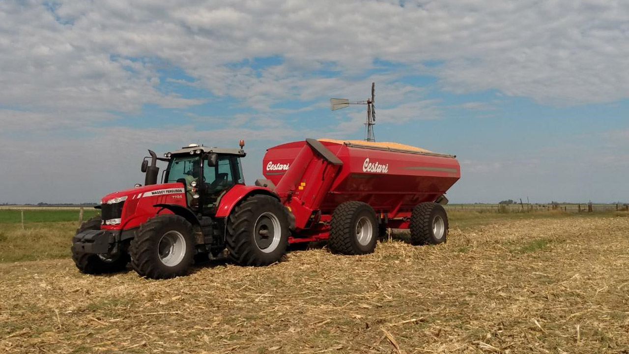 Tolva Cestari S6 37.000 en planta de molino